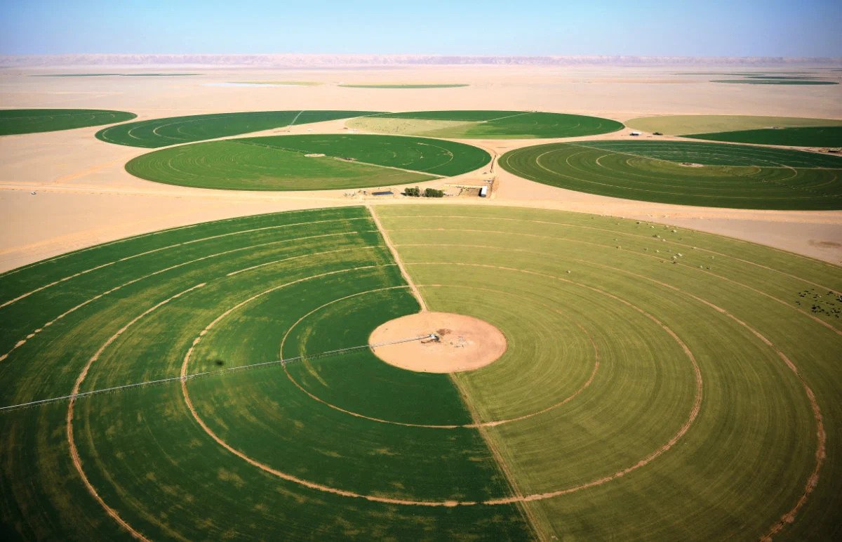 Comment l Arabie saoudite concrétise ses ambitions climatiques Arab