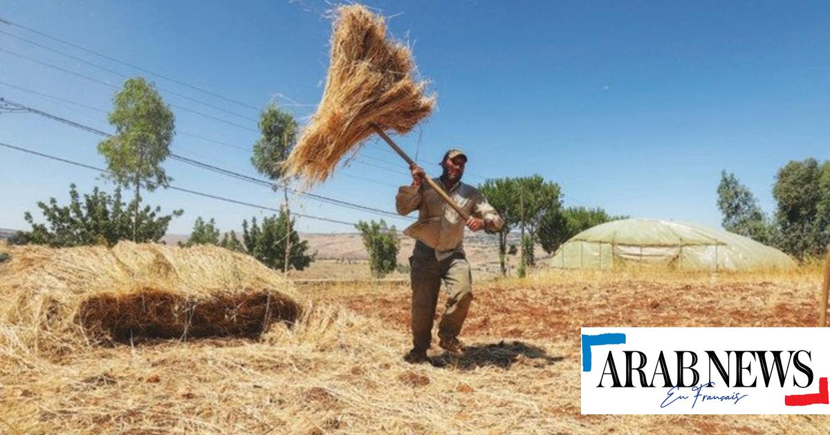 Des manifestations éclatent au Liban alors que léconomie du pays