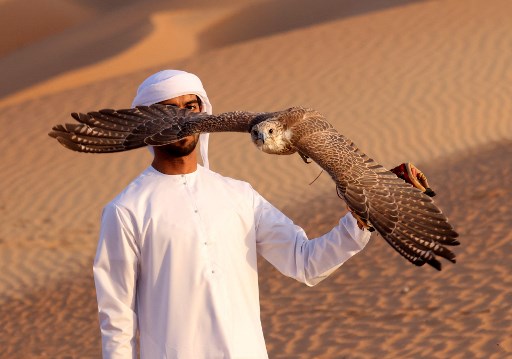 L'émirati Ali Mansouri dresse un faucon dans le désert de Liwa, à quelque 250 kilomètres à l'ouest de l'émirat du golfe d'Abou Dhabi, le 9 janvier 2021. Karim SAHIB / AFP