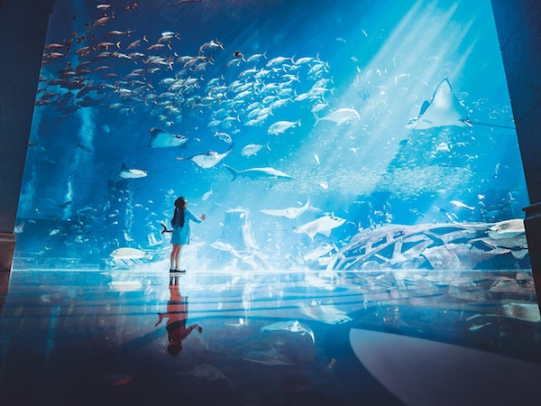 Une fillette éblouie par l'aquarium géant de l'Atlantis, The Palm (©Atlantis The Palm)