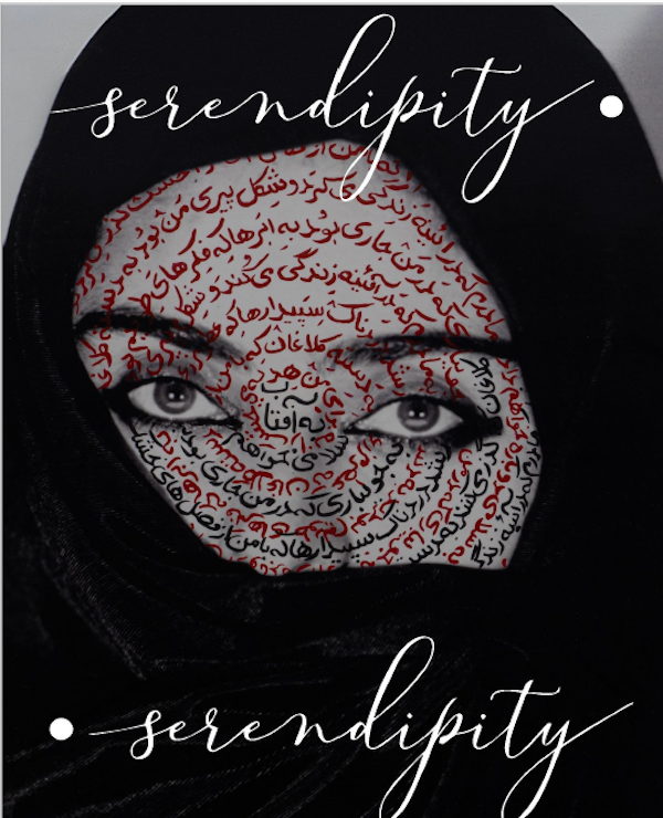 Visuel de l'exposition "Serendipity" (fournie)