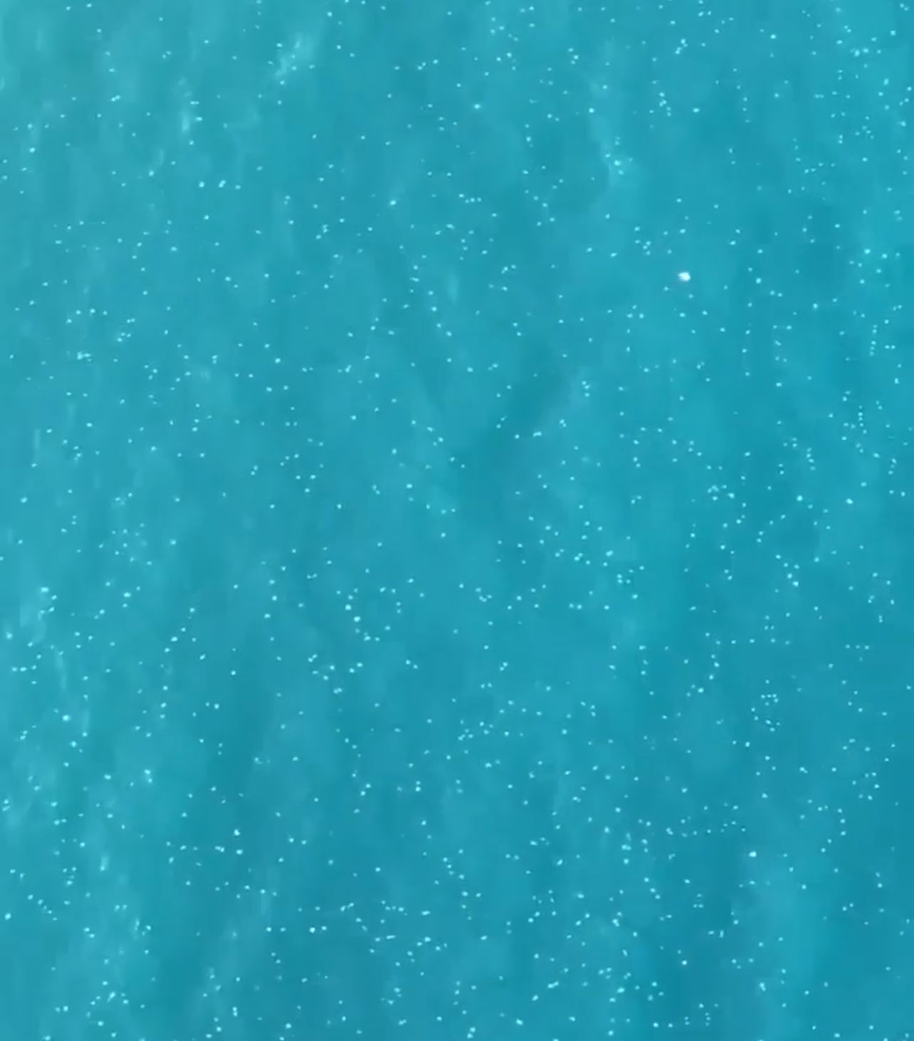 En fin de semaine dernière, sur la plage de la ville côtière du sud de Tyr, des dizaines de nageurs ont été piqués par des méduses (Photo, Capture d'écran).