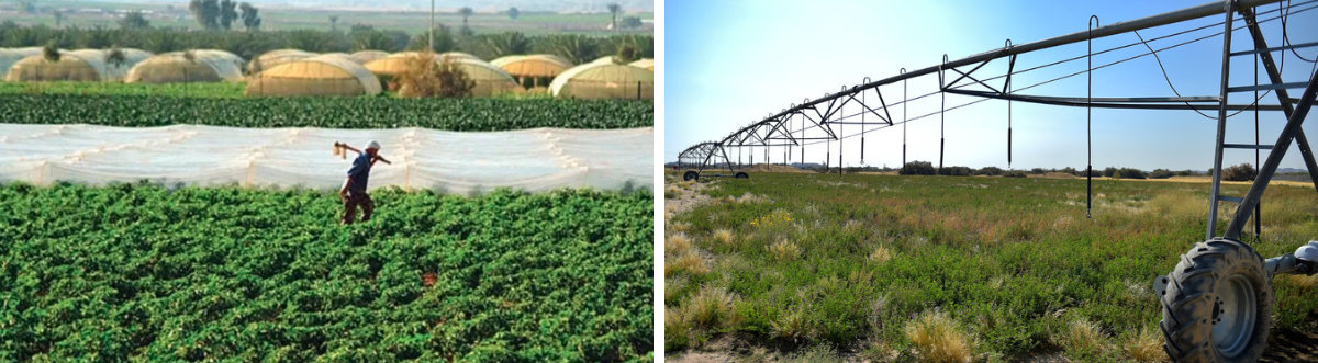 La réussite des projets d'agriculture durable du Royaume est de bon augure pour les nations vulnérables au climat dans le monde entier. (Photos fournies/fichier)