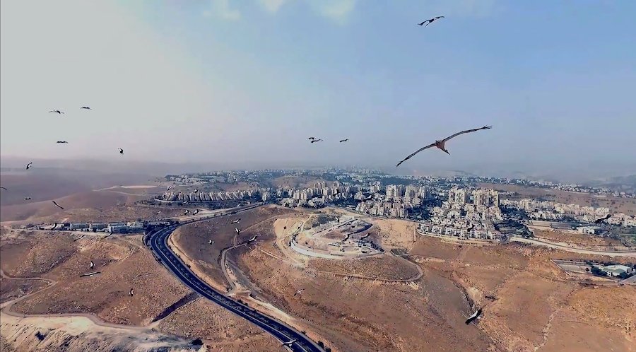 « As Birds Flying » (2016) est une réplique au récit des médias en Egypte qui a fait d'un oiseau un symbole de la paranoïa de l'Etat. (Photo fournie)