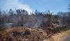 Bretagne: le feu en forêt de Brocéliande est fixé 