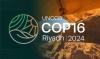 La COP16 sur la biodiversité reprendra « au premier trimestre 2025 » selon la présidence colombienne