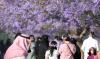 Asir modernise ses parcs en amont de l’afflux touristique estival