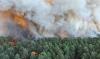 France : deux Canadair envoyés face à l'incendie hors norme de Fontainebleau, près de Paris
