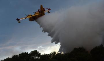 En images: Feu d'Anglet maîtrisé, 165 hectares de végétation détruits