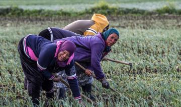 Femme rurale: La cheville ouvrière de la société