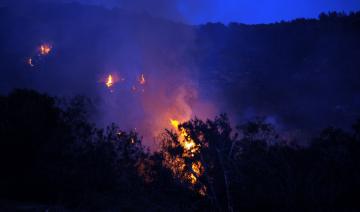 Protégeons nos forêts