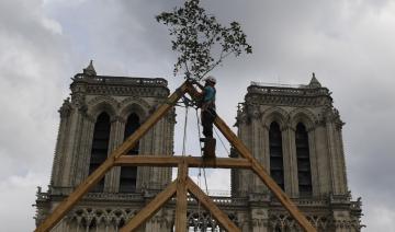 Notre-Dame: encore un mois de démontage pour l'échafaudage