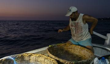 En temps de crise, la pêche n’est pas toujours miraculeuse au port de Byblos