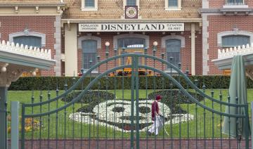 Disneyland Paris va se doter d'une centrale solaire grande comme 24 terrains de foot