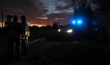 Un premier élevage de visons contaminé au Covid-19 en France