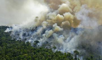 Brésil: les incendies de forêt au plus haut en dix ans 