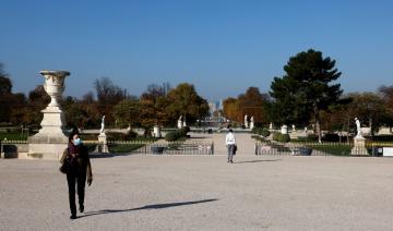 Les Tuileries se réaménagent avec une allée d'ormes comme avant la Révolution 