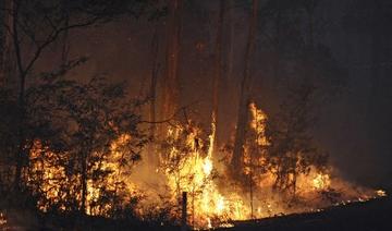 L’effet des feux en Australie comparables à une éruption volcanique (étude)