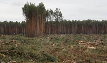 Déforestation liée aux importations: l'UE 2e responsable mondial après la Chine