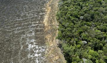 Brésil : déforestation record en Amazonie en avril