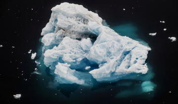 Le plus gros iceberg existant se détache de l'Antarctique