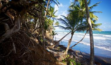 Guadeloupe: avec la levée des motifs impérieux, les premiers vacanciers débarquent