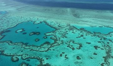 La Grande Barrière de corail «en danger» pour l'Unesco, l'Australie prête à contester