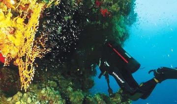 Un photographe saoudien ramène à la surface la beauté de la mer Rouge