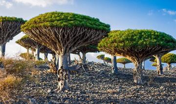 Biodiversité: l'ONU dévoile le texte qui sera négocié à la COP15