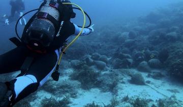 Grèce: au musée sous-marin d'Alonissos, «on plonge dans l'histoire»
