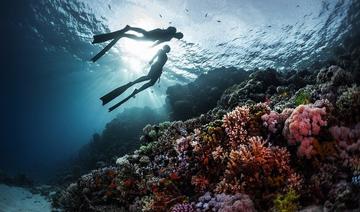 Une expédition scientifique dirigée par des Israéliens se rend au Soudan pour étudier les coraux de la mer Rouge