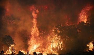 Le nord du Maroc à son tour touché par d'importants feux de forêt