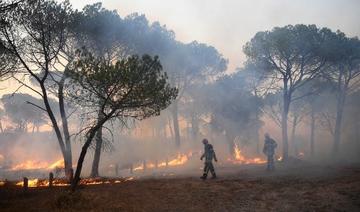 Vignes brûlées, troncs calcinés: des scènes de désolation dans le Var