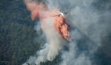 Sur la Côte d'Azur, des vignerons «anéantis» par les dégâts de l'incendie