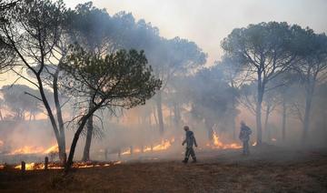 Un double incendie sur la cote landaise: plus de 200 pompiers mobilisés, au moins 80 ha de forêt détruits