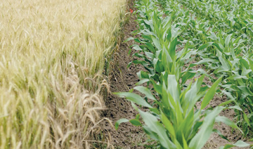 L’ONU appelle à la réaffectation de 470 milliards de dollars de subventions agricoles