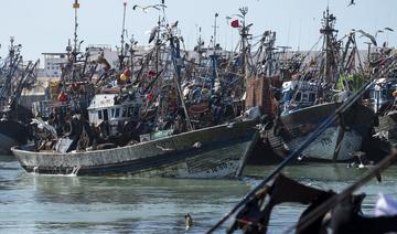 Sahara occidental: l'UE fait appel de l'annulation de deux accord commerciaux