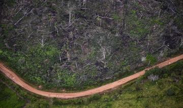 Pour le climat, les dirigeants mondiaux s'attaquent au méthane et protègent les forêts