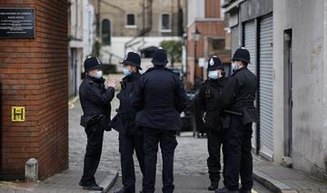 Un homme plaide coupable d'intrusion sur le site du palais de Buckingham