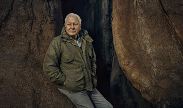 Sir David Attenborough et la sauvegarde des plantes dans “The Green Planet” sur la BBC