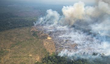 Record de chaleur et feux de forêts en Amazonie colombienne