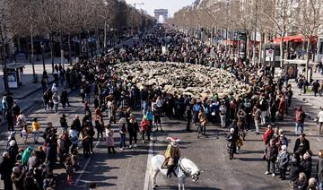 Présidentielle: les candidats au chevet de l'agriculture