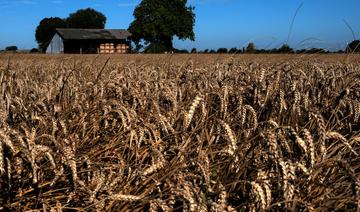 Agriculture: les ministres de l'UE réunis pour amortir l'impact du choc ukrainien