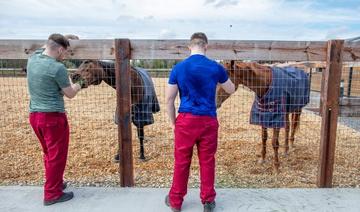 En Irlande, les prisonniers murmurent à l'oreille des chevaux