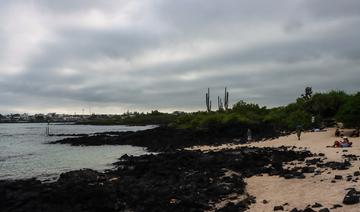 «Nappe de carburant» aux Galapagos après le naufrage d'un bateau