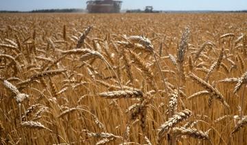 La Russie estime pouvoir exporter 50 millions de tonnes de céréales