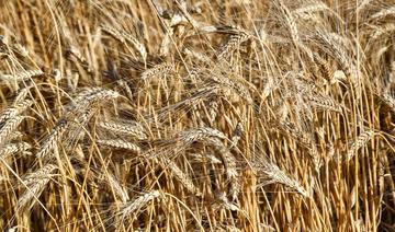 Coopération entre le Japon et la France en matière d’enjeux alimentaires