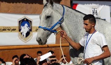 En Libye, une vente aux enchères de chevaux crée l'évènement