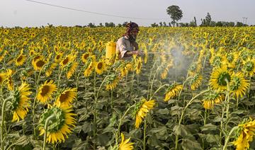 Réduction des pesticides: les 27 réclament du «réalisme» à Bruxelles