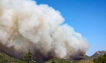 Chypre: la pluie vient à bout d'un important feu de forêt